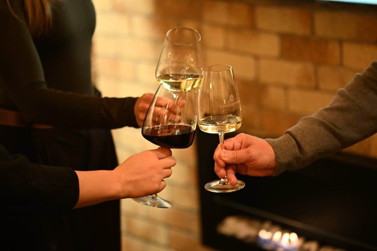 Two guests toasting with red and white wine at a private tasting